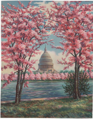 The Capitol in Blossom Time